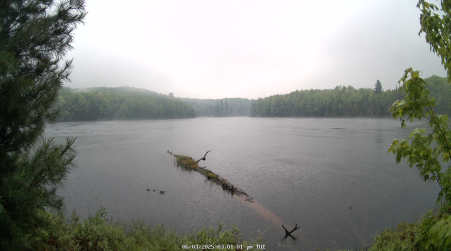 Image from 2025-06-03