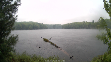 Image from 2025-06-03