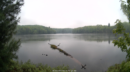 Image from 2025-06-03