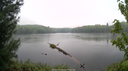 Image from 2025-06-03