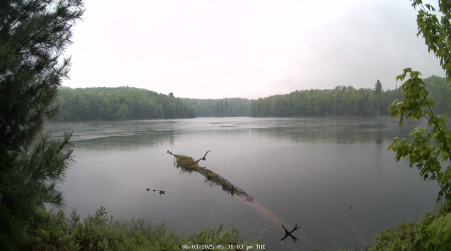 Image from 2025-06-03