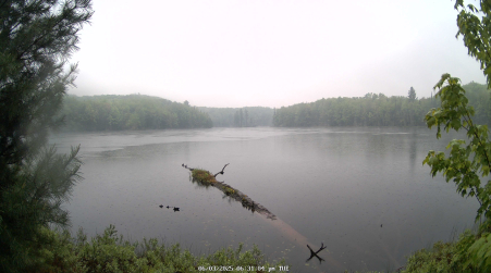 Image from 2025-06-03