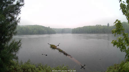 Image from 2025-06-03