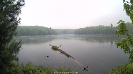 Image from 2025-06-03