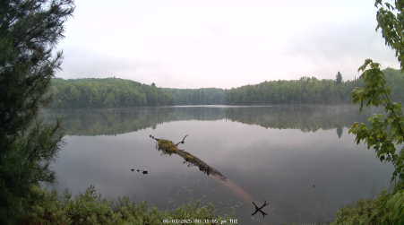 Image from 2025-06-03