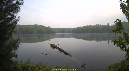 Image from 2025-06-03