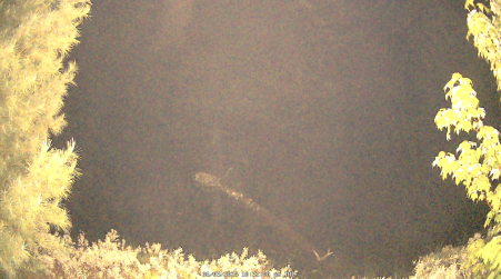 Image from 2025-06-03