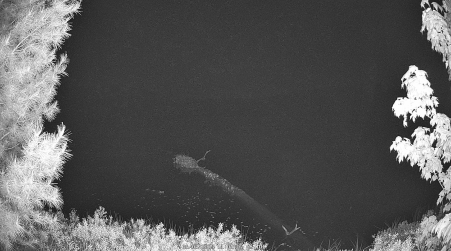 Image from 2025-06-03