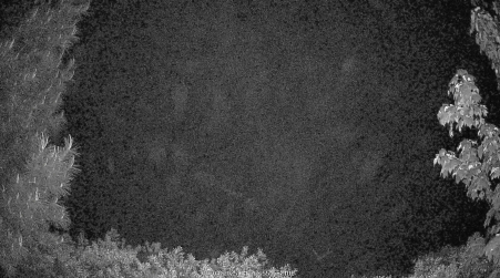 Image from 2025-06-03