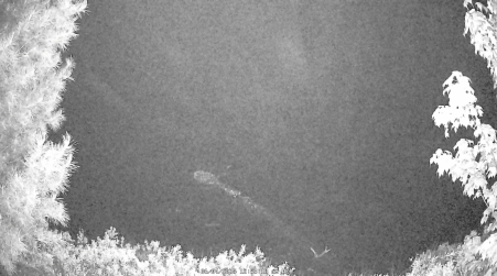 Image from 2025-06-04