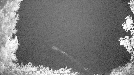 Image from 2025-06-04