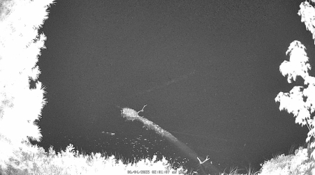 Image from 2025-06-04