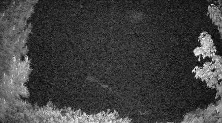 Image from 2025-06-04