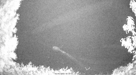 Image from 2025-06-04