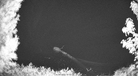 Image from 2025-06-04