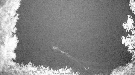 Image from 2025-06-04