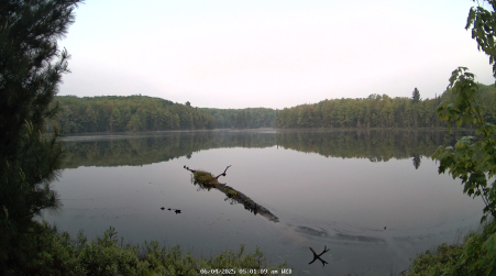 Image from 2025-06-04