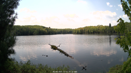 Image from 2025-06-04