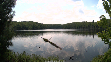 Image from 2025-06-04