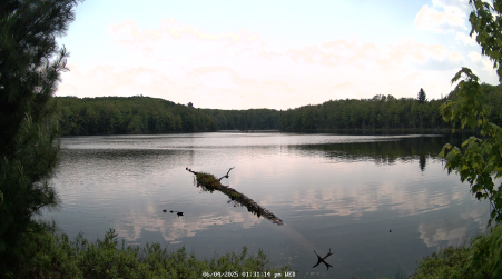 Image from 2025-06-04