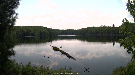 Image from 2025-06-04