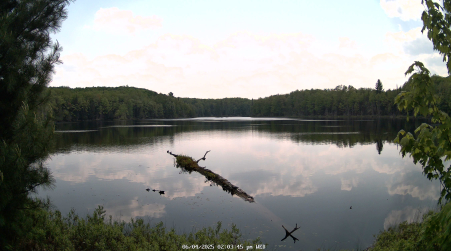 Image from 2025-06-04