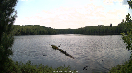 Image from 2025-06-04