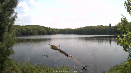 Image from 2025-06-04