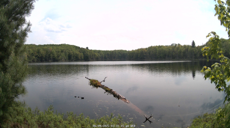 Image from 2025-06-04