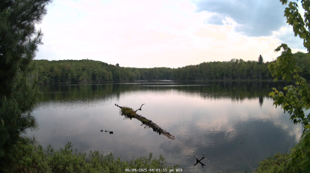 Image from 2025-06-04