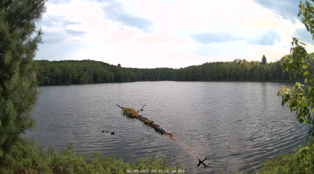 Image from 2025-06-04