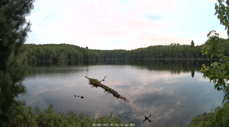 Image from 2025-06-04