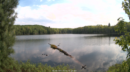 Image from 2025-06-04