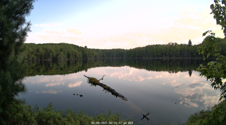 Image from 2025-06-04