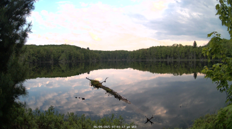 Image from 2025-06-04
