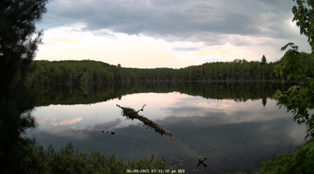 Image from 2025-06-04