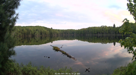 Image from 2025-06-04