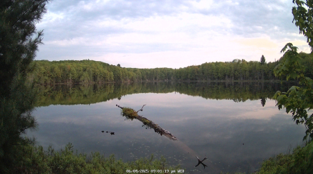 Image from 2025-06-04