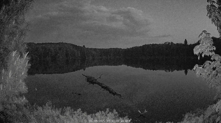 Image from 2025-06-04