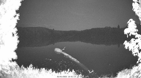 Image from 2025-06-04