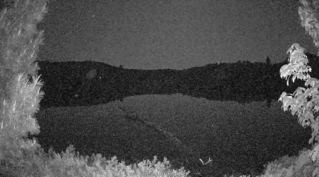 Image from 2025-06-04