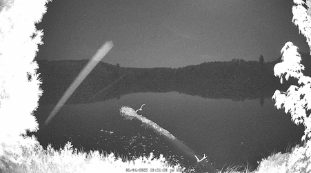 Image from 2025-06-04