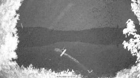 Image from 2025-06-04