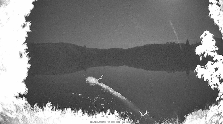 Image from 2025-06-04