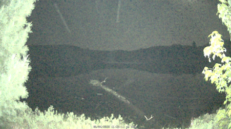 Image from 2025-06-04
