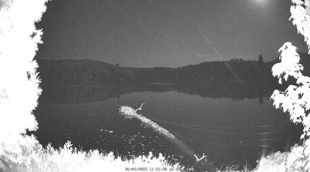 Image from 2025-06-04