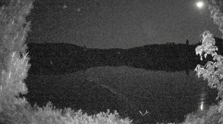 Image from 2025-06-04