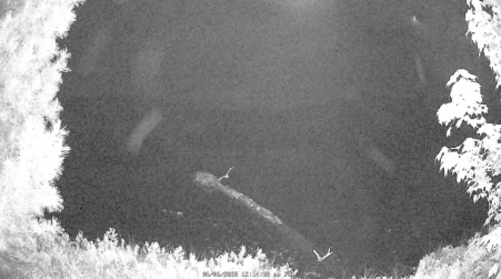 Image from 2025-06-06