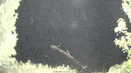 Image from 2025-06-06