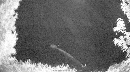 Image from 2025-06-06